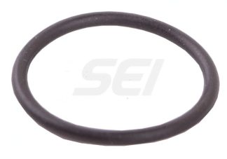 Oring 106-06